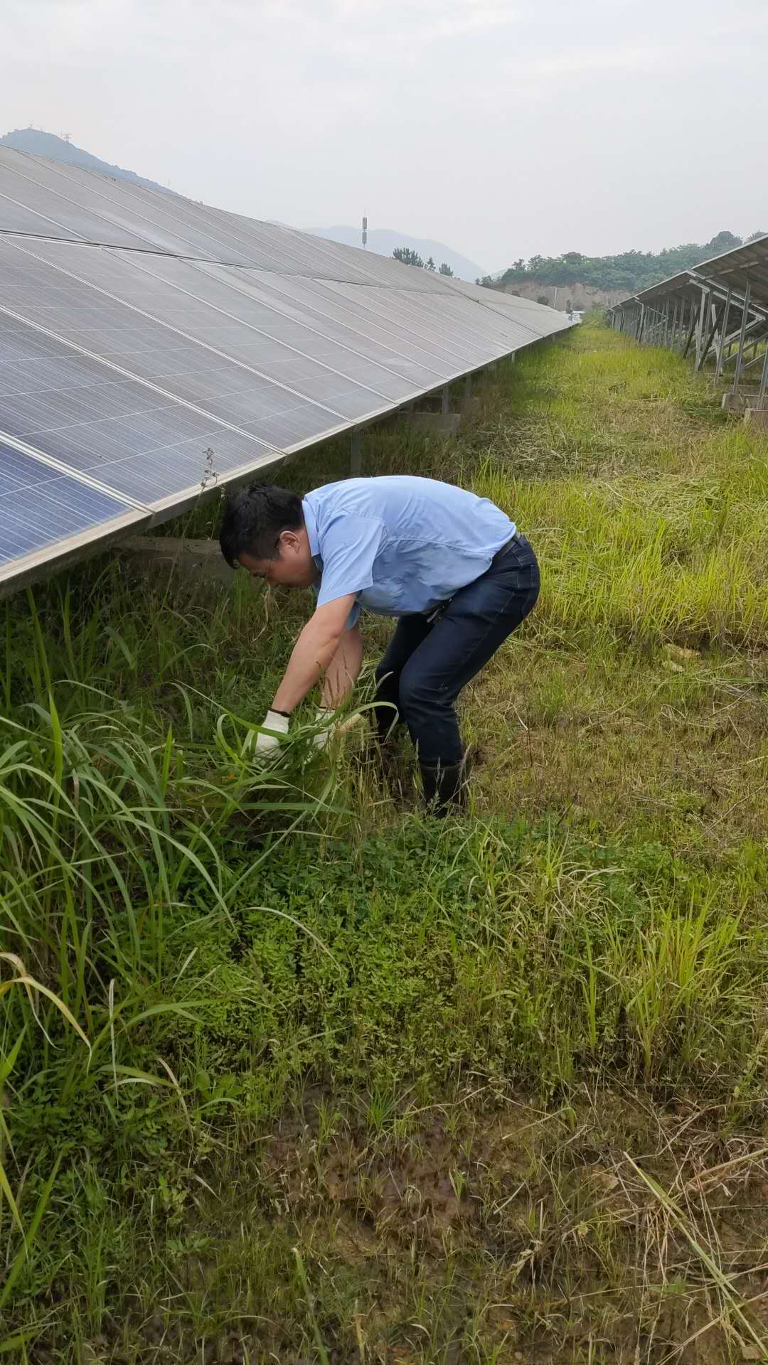 澳门大金沙